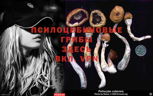 крисы Верея