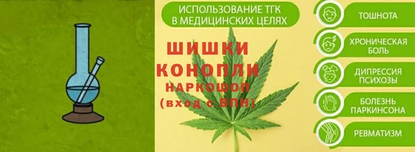 стафф Верхний Тагил