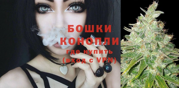 крисы Верея