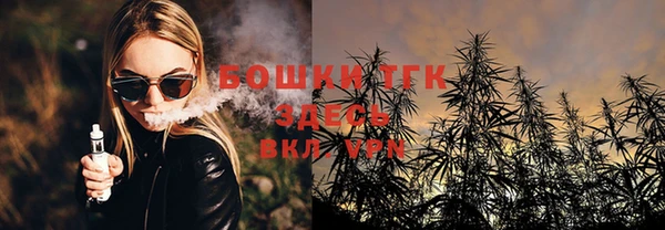 крисы Верея