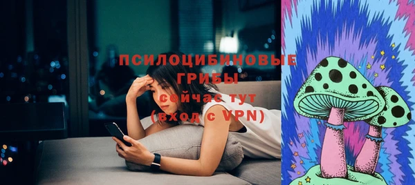 крисы Верея