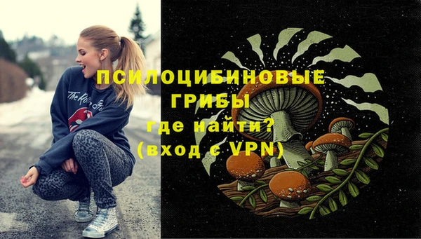 стафф Верхний Тагил