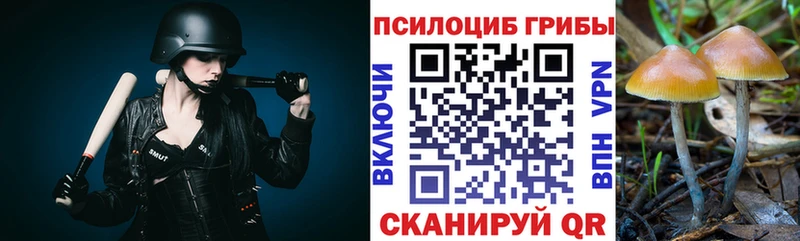 Псилоцибиновые грибы Magic Shrooms  закладки  Крым 